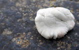 Kaugummi auf dem Asphalt (Bild: The white rock von Arenamontanus (http://www.flickr.com/photos/arenamontanus/2544419711/) unter CC-BY-Lizenz (http://creativecommons.org/licenses/by/2.0/deed.de)