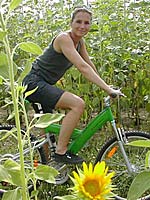 Mountainbikerin fährt durch ein Sonnenblumenfeld